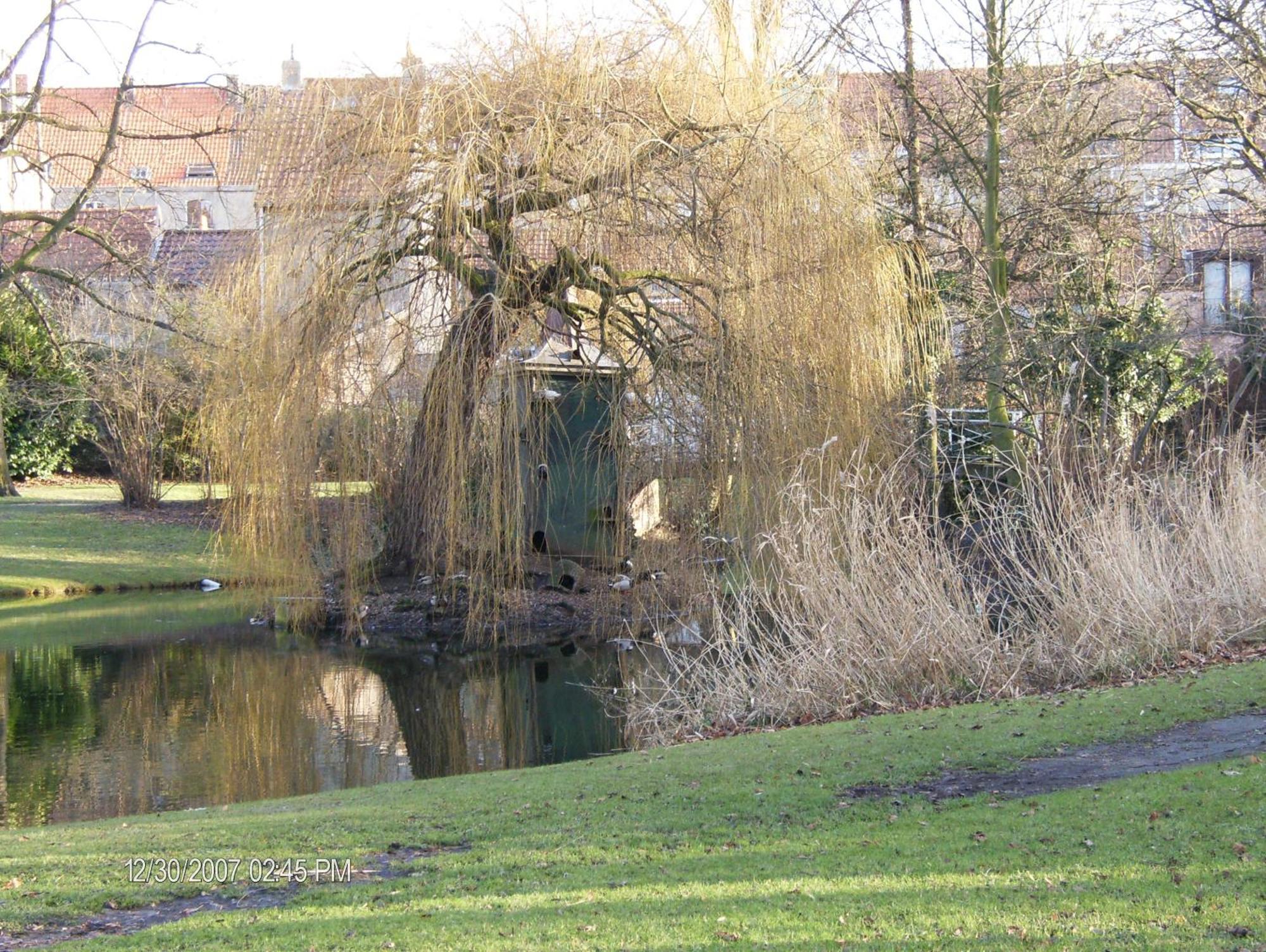 B&B Het Rommelwater Gent Exterior foto